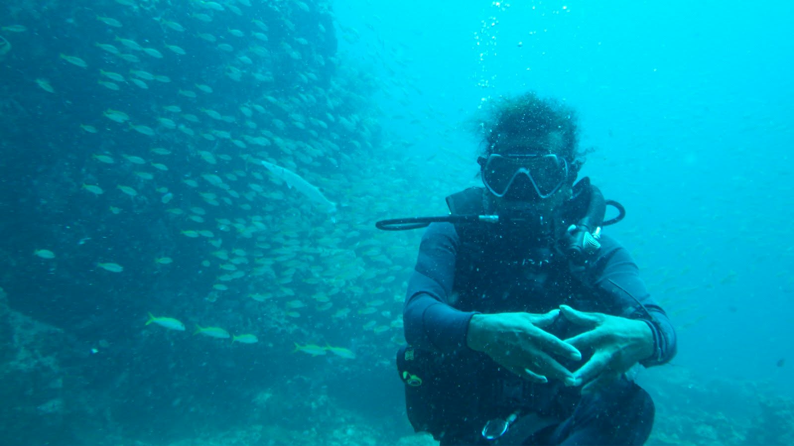 Scuba diving with a school of fish