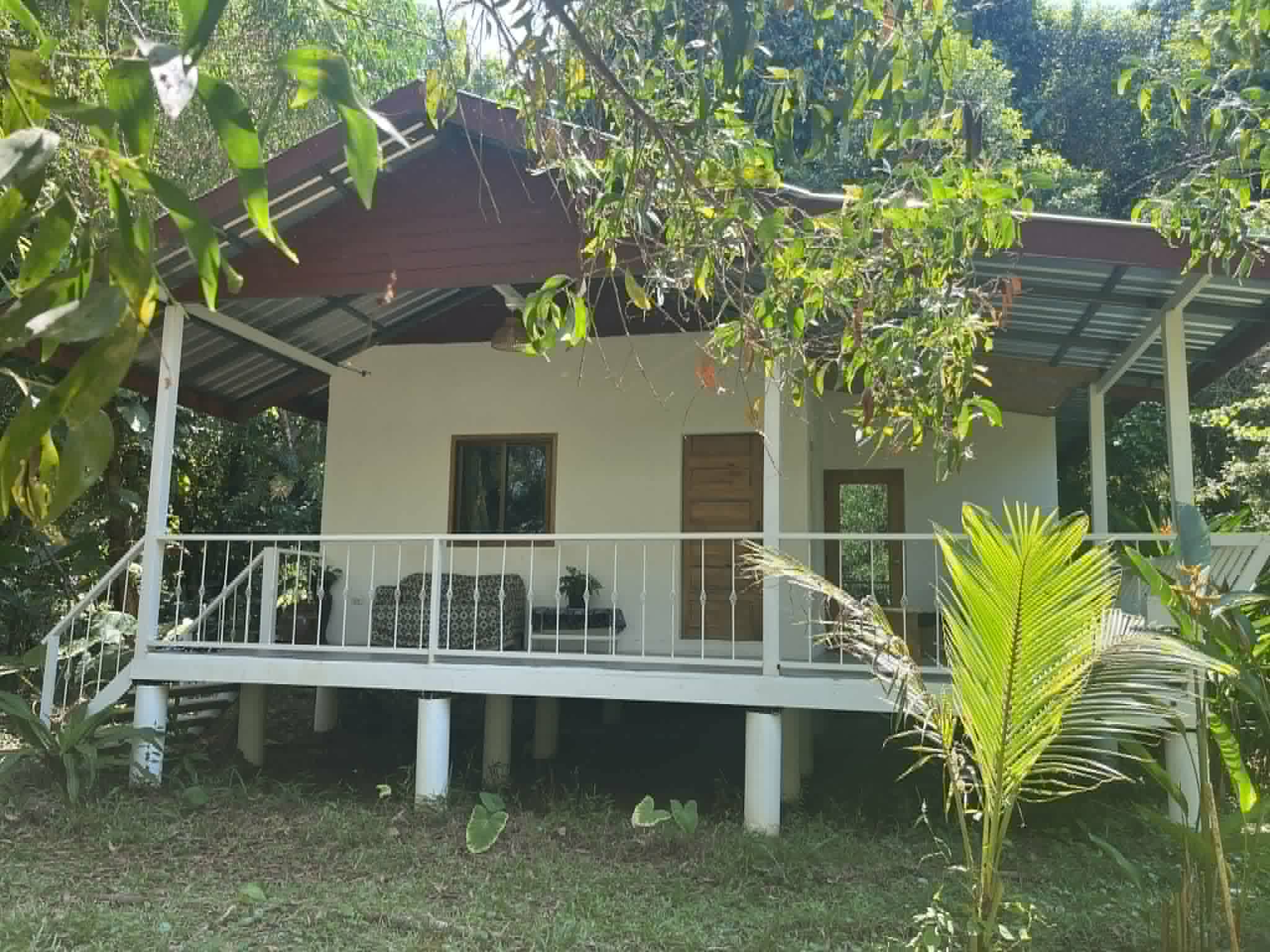 White building with veranda in the jungle